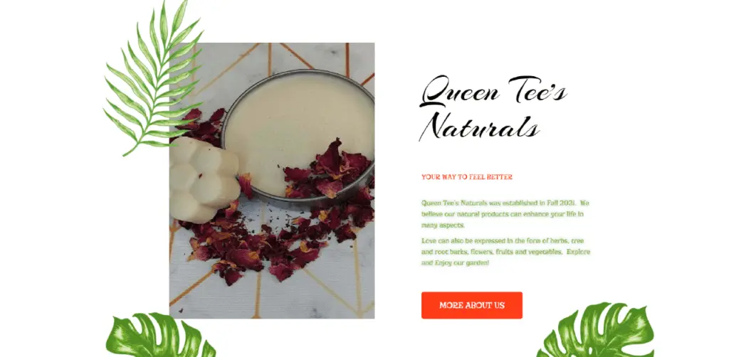 Queen Tee's Naturals | Tampa Tech Wire